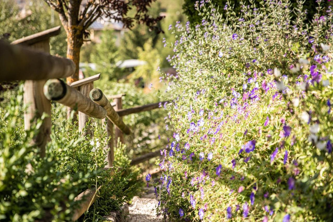 Belvedere Dolomites Flower Hotel โมเอนา ภายนอก รูปภาพ