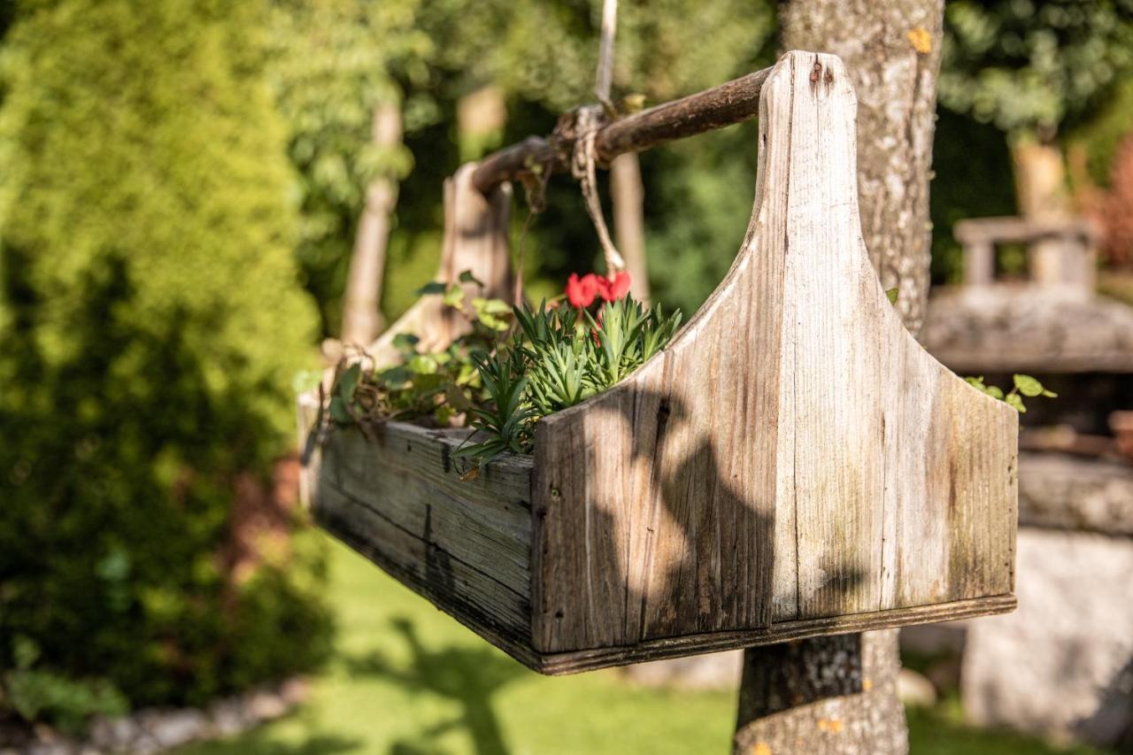 Belvedere Dolomites Flower Hotel โมเอนา ภายนอก รูปภาพ